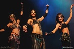 Belly Dancers 1